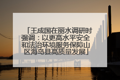 王成国在丽水调研时强调：以更高水平安全和法治环境服务保障山区海岛县高质量发展