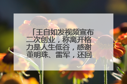 王自如发视频宣布二次创业，称离开格力是人生低谷，感谢董明珠、雷军，还回应了“工资条”：清楚自己要什么……