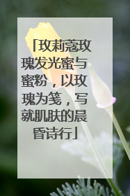 玫莉蔻玫瑰发光蜜与蜜粉，以玫瑰为笺，写就肌肤的晨昏诗行