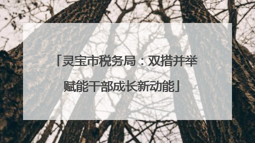 灵宝市税务局：双措并举 赋能干部成长新动能
