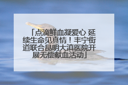 点滴鲜血凝爱心 延续生命见真情！丰宁街道联合昆明大滇医院开展无偿献血活动