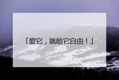 爱它，就给它自由！