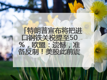 特朗普宣布将把进口钢铁关税提至50%，欧盟：遗憾，准备反制！美股此前震荡，机构：美元正进入熊市