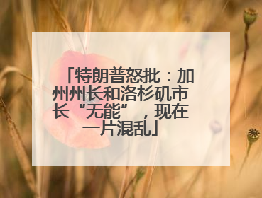 特朗普怒批：加州州长和洛杉矶市长“无能”，现在一片混乱
