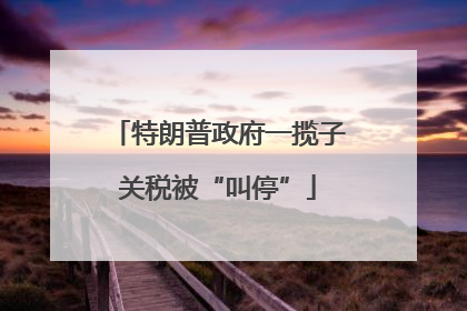 特朗普政府一揽子关税被“叫停”