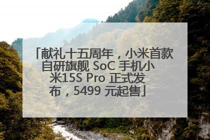 献礼十五周年，小米首款自研旗舰 SoC 手机小米15S Pro 正式发布，5499 元起售