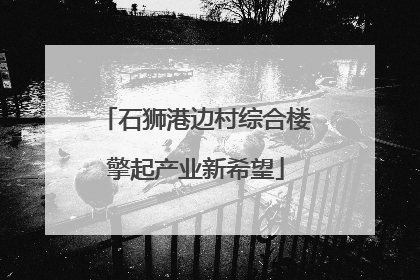 石狮港边村综合楼擎起产业新希望