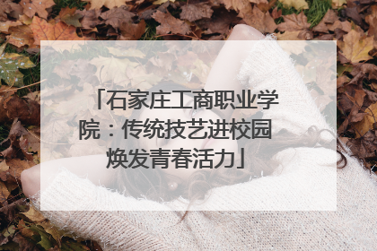 石家庄工商职业学院：传统技艺进校园焕发青春活力