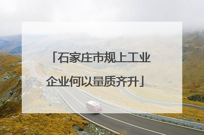 石家庄市规上工业企业何以量质齐升
