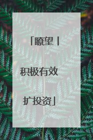 瞭望丨积极有效扩投资