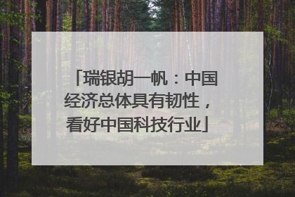 瑞银胡一帆：中国经济总体具有韧性，看好中国科技行业