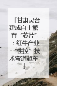甘肃灵台建成自主繁育“芯片”：红牛产业“性控”技术弯道超车