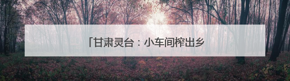 甘肃灵台：小车间榨出乡村全面振兴“幸福油”
