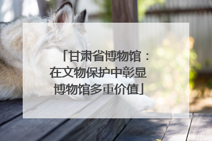 甘肃省博物馆：在文物保护中彰显博物馆多重价值