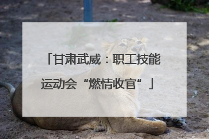 甘肃武威：职工技能运动会“燃情收官”