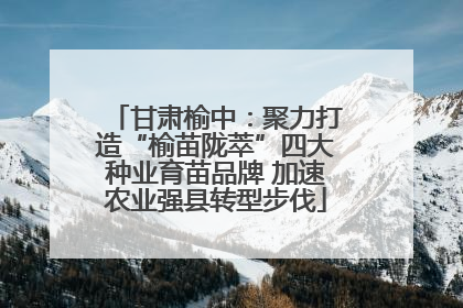 甘肃榆中：聚力打造“榆苗陇萃”四大种业育苗品牌 加速农业强县转型步伐