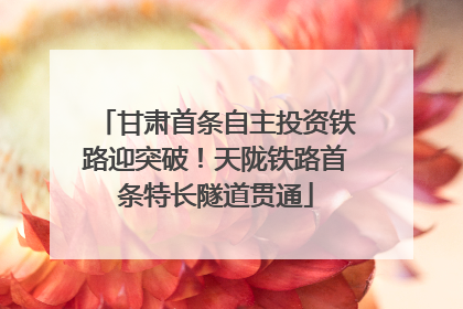 甘肃首条自主投资铁路迎突破！天陇铁路首条特长隧道贯通