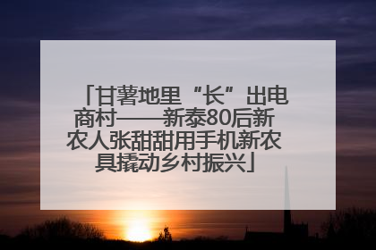 甘薯地里“长”出电商村——新泰80后新农人张甜甜用手机新农具撬动乡村振兴