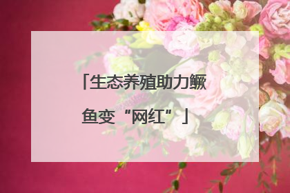 生态养殖助力鳜鱼变“网红”