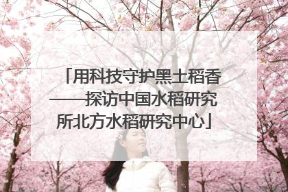 用科技守护黑土稻香——探访中国水稻研究所北方水稻研究中心