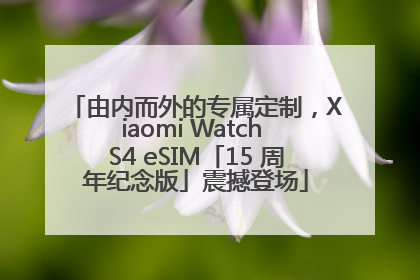 由内而外的专属定制，Xiaomi Watch S4 eSIM「15 周年纪念版」震撼登场