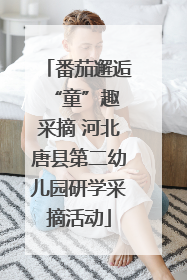 番茄邂逅 “童”趣采摘 河北唐县第二幼儿园研学采摘活动