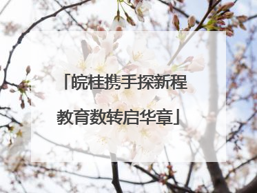 皖桂携手探新程 教育数转启华章