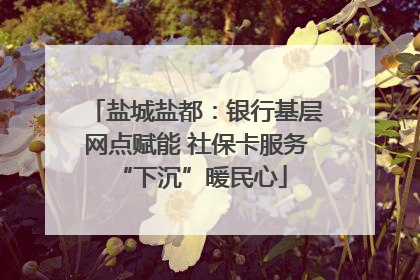 盐城盐都：银行基层网点赋能 社保卡服务 “下沉”暖民心