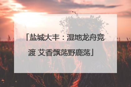 盐城大丰：湿地龙舟竞渡 艾香飘荡野鹿荡