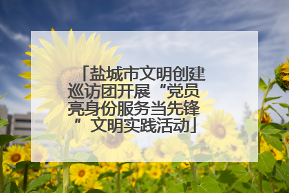 盐城市文明创建巡访团开展“党员亮身份服务当先锋”文明实践活动