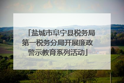 盐城市阜宁县税务局第一税务分局开展廉政警示教育系列活动