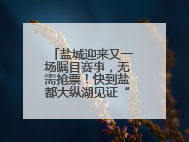 盐城迎来又一场瞩目赛事，无需抢票！快到盐都大纵湖见证“铁人”诞生