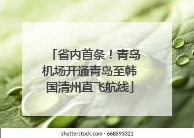 省内首条！青岛机场开通青岛至韩国清州直飞航线