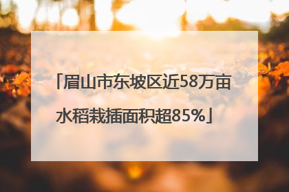 眉山市东坡区近58万亩水稻栽插面积超85%