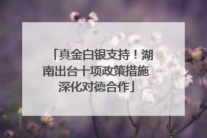 真金白银支持！湖南出台十项政策措施深化对德合作