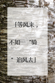 等风来，不如一“骑”追风去