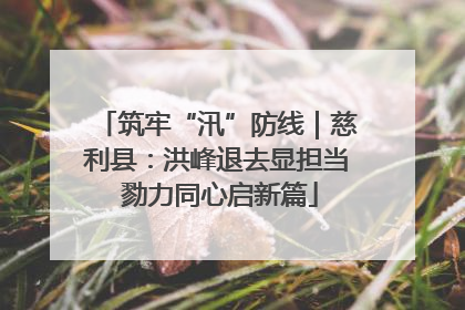 筑牢“汛”防线｜慈利县：洪峰退去显担当 勠力同心启新篇