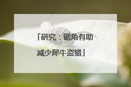 研究：锯角有助减少犀牛盗猎