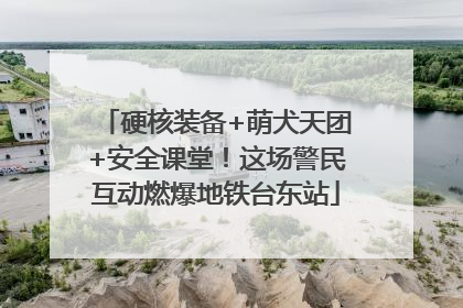 硬核装备+萌犬天团+安全课堂！这场警民互动燃爆地铁台东站