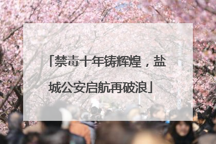 禁毒十年铸辉煌，盐城公安启航再破浪