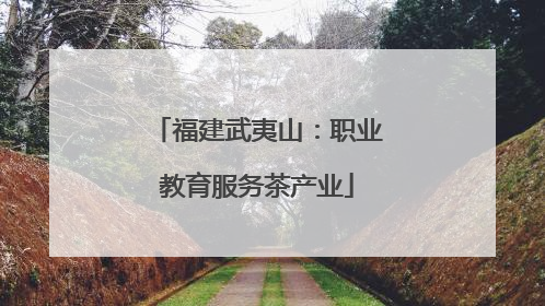 福建武夷山：职业教育服务茶产业