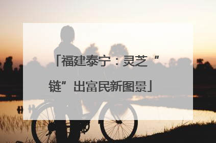 福建泰宁：灵芝“链”出富民新图景