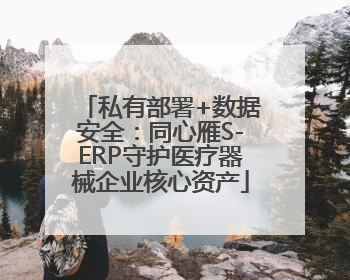私有部署+数据安全：同心雁S-ERP守护医疗器械企业核心资产