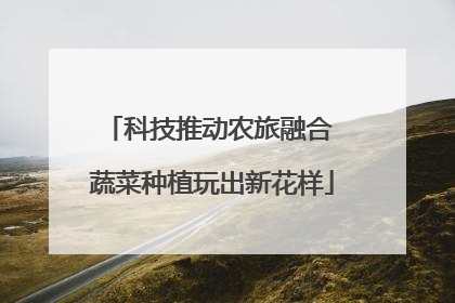 科技推动农旅融合 蔬菜种植玩出新花样
