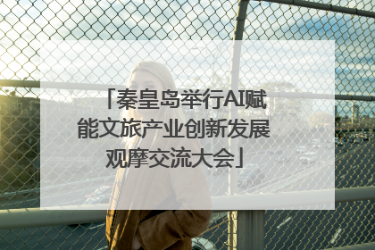 秦皇岛举行AI赋能文旅产业创新发展观摩交流大会