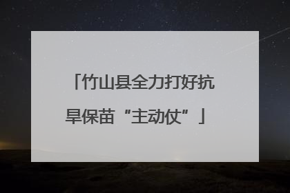竹山县全力打好抗旱保苗“主动仗”