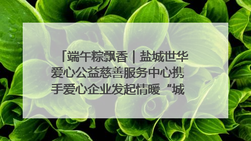 端午粽飘香｜盐城世华爱心公益慈善服务中心携手爱心企业发起情暖“城市守护者”慰问活动
