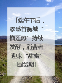 端午节后，孝感首衡城“榴莲热”持续发酵，消费者迎来“甜蜜”囤货期