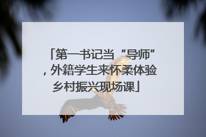第一书记当“导师”，外籍学生来怀柔体验乡村振兴现场课