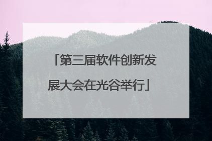 第三届软件创新发展大会在光谷举行